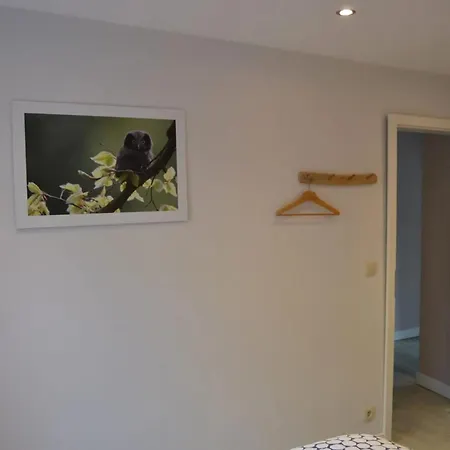 House With Sauna Near Center - 200 M² * La-Roche-en-Ardenne