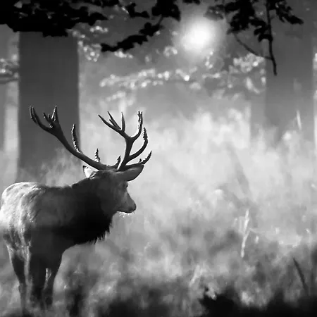 House With Sauna Near Center - 200 M²