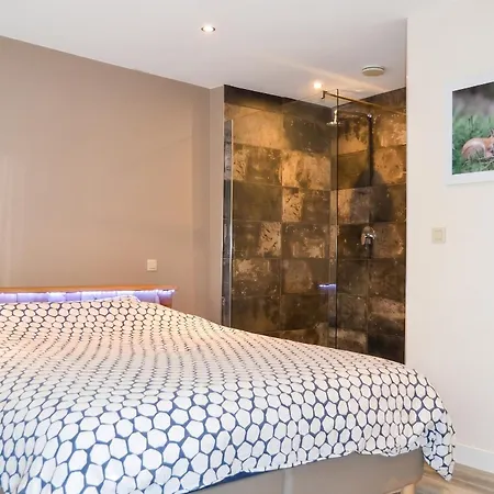 House With Sauna Near Center - 200 M² * La-Roche-en-Ardenne