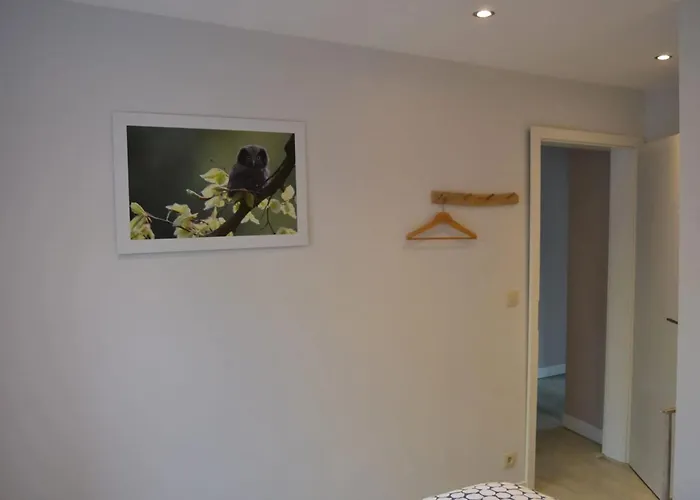 House With Sauna Near Center - 200 M² * La-Roche-en-Ardenne