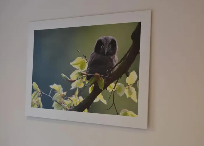 House With Sauna Near Center - 200 M² Vakantiehuis La-Roche-en-Ardenne