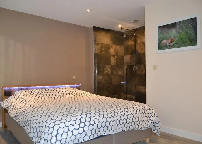 Vakantiehuis House With Sauna Near Center - 200 M² *