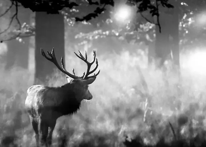 House With Sauna Near Center - 200 M²